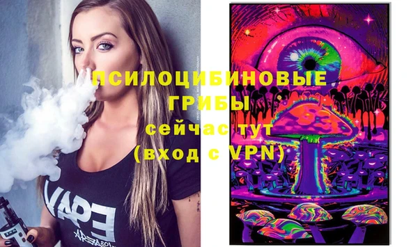 молекула духа Богородицк