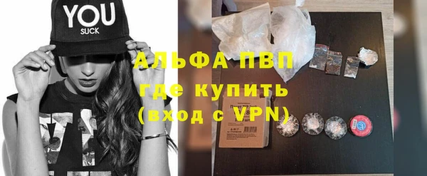 молекула духа Богородицк