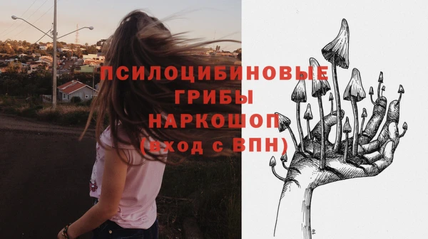 тгк Алексин