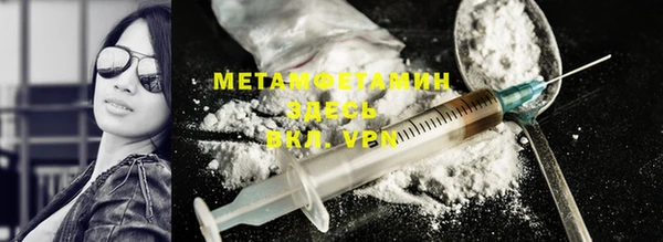 прущие грибы Медвежьегорск