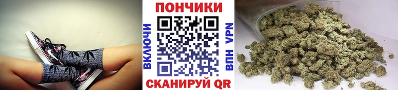 Марихуана семена Новомосковск